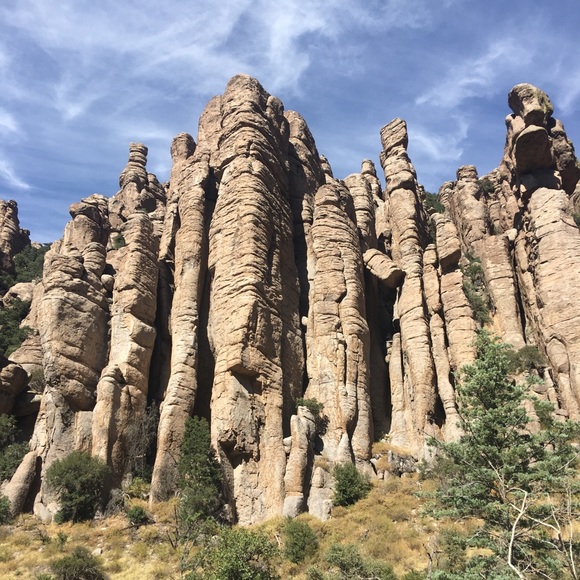 Meet your Posher, Philip - Picture 3 of 8